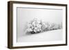 Fields of White-Philippe Sainte-Laudy-Framed Photographic Print