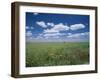 Fields of Wild Flowers, Near Utande, Guadalajara, Castilla La Mancha, Spain-Ruth Tomlinson-Framed Photographic Print