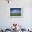 Fields of Wild Flowers, Near Utande, Guadalajara, Castilla La Mancha, Spain-Ruth Tomlinson-Framed Photographic Print displayed on a wall