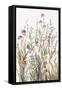 Fields of Wild Pink I-Asia Jensen-Framed Stretched Canvas