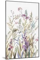 Fields of Wild Pink II-Asia Jensen-Mounted Art Print