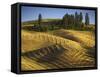 Fields, Palouse, Whitman County, Washington, USA-Charles Gurche-Framed Stretched Canvas