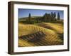 Fields, Palouse, Whitman County, Washington, USA-Charles Gurche-Framed Premium Photographic Print