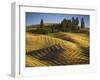 Fields, Palouse, Whitman County, Washington, USA-Charles Gurche-Framed Premium Photographic Print