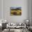 Fields, Palouse, Whitman County, Washington, USA-Charles Gurche-Photographic Print displayed on a wall