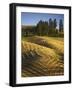 Fields, Palouse, Whitman County, Washington, USA-Charles Gurche-Framed Photographic Print