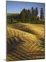 Fields, Palouse, Whitman County, Washington, USA-Charles Gurche-Mounted Photographic Print