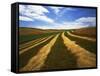 Fields, Palouse, Whitman County, Washington, USA-Charles Gurche-Framed Stretched Canvas