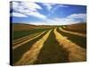 Fields, Palouse, Whitman County, Washington, USA-Charles Gurche-Stretched Canvas