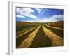 Fields, Palouse, Whitman County, Washington, USA-Charles Gurche-Framed Photographic Print