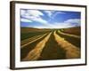 Fields, Palouse, Whitman County, Washington, USA-Charles Gurche-Framed Photographic Print