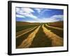 Fields, Palouse, Whitman County, Washington, USA-Charles Gurche-Framed Photographic Print