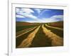 Fields, Palouse, Whitman County, Washington, USA-Charles Gurche-Framed Photographic Print