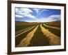 Fields, Palouse, Whitman County, Washington, USA-Charles Gurche-Framed Photographic Print