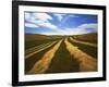 Fields, Palouse, Whitman County, Washington, USA-Charles Gurche-Framed Photographic Print