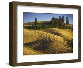 Fields, Palouse, Whitman County, Washington, USA-Charles Gurche-Framed Photographic Print