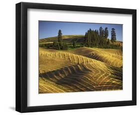 Fields, Palouse, Whitman County, Washington, USA-Charles Gurche-Framed Photographic Print