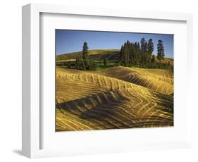 Fields, Palouse, Whitman County, Washington, USA-Charles Gurche-Framed Photographic Print