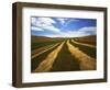 Fields, Palouse, Whitman County, Washington, USA-Charles Gurche-Framed Photographic Print