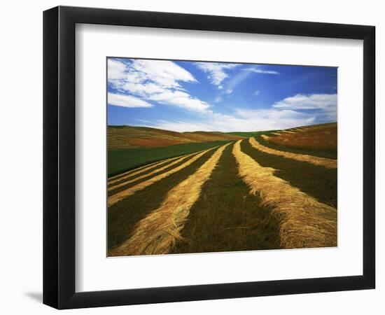 Fields, Palouse, Whitman County, Washington, USA-Charles Gurche-Framed Photographic Print