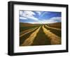 Fields, Palouse, Whitman County, Washington, USA-Charles Gurche-Framed Photographic Print