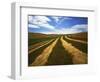 Fields, Palouse, Whitman County, Washington, USA-Charles Gurche-Framed Photographic Print