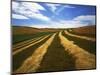 Fields, Palouse, Whitman County, Washington, USA-Charles Gurche-Mounted Photographic Print