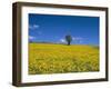 Fields, Road to Pindaya, Shan State, Myanmar (Burma), Asia-Sergio Pitamitz-Framed Photographic Print