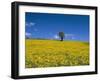 Fields, Road to Pindaya, Shan State, Myanmar (Burma), Asia-Sergio Pitamitz-Framed Photographic Print