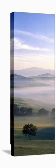 Fields Tuscany Italy-null-Stretched Canvas