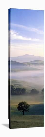 Fields Tuscany Italy-null-Stretched Canvas