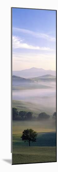 Fields Tuscany Italy-null-Mounted Photographic Print