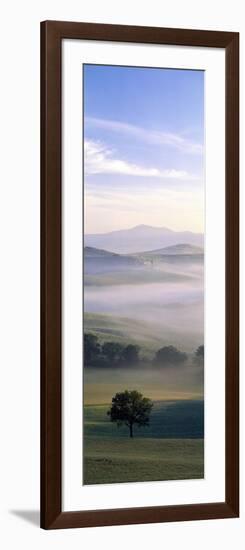 Fields Tuscany Italy-null-Framed Photographic Print