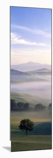 Fields Tuscany Italy-null-Mounted Photographic Print