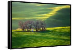 Fields...-Krzysztof Browko-Framed Stretched Canvas