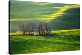 Fields...-Krzysztof Browko-Stretched Canvas