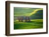 Fields...-Krzysztof Browko-Framed Photographic Print