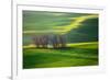 Fields...-Krzysztof Browko-Framed Photographic Print