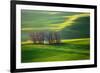 Fields...-Krzysztof Browko-Framed Photographic Print