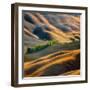 Fields-Krzysztof Browko-Framed Photographic Print