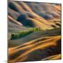 Fields-Krzysztof Browko-Mounted Photographic Print