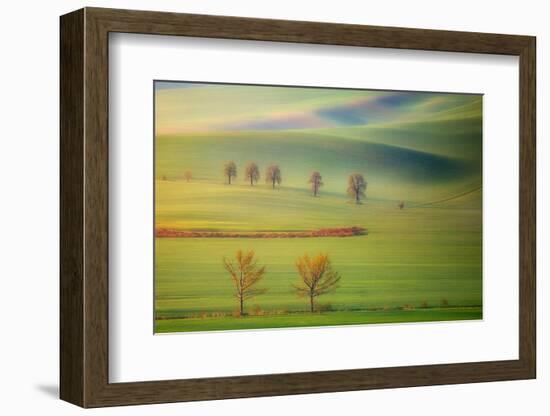 Fields-Krzysztof Browko-Framed Photographic Print