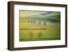 Fields-Krzysztof Browko-Framed Photographic Print