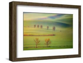 Fields-Krzysztof Browko-Framed Photographic Print