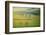 Fields-Krzysztof Browko-Framed Photographic Print