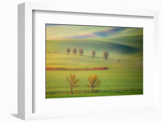 Fields-Krzysztof Browko-Framed Photographic Print