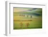 Fields-Krzysztof Browko-Framed Photographic Print