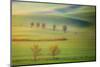 Fields-Krzysztof Browko-Mounted Photographic Print