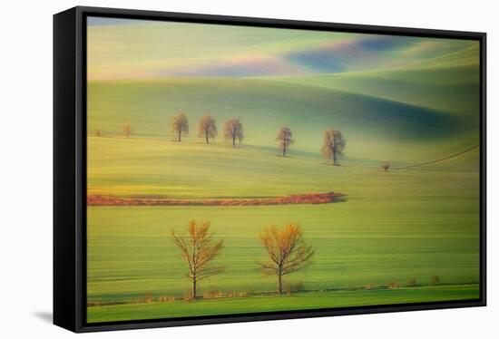 Fields-Krzysztof Browko-Framed Stretched Canvas