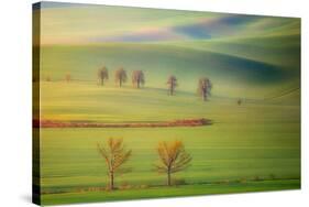 Fields-Krzysztof Browko-Stretched Canvas